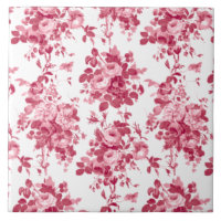 Rosas Românticos Antiguos Rosa-Rosa em Branco