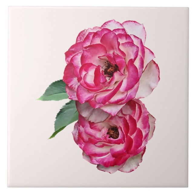Azulejo De Cerâmica Rosas Rosa e Brancas (Frente)