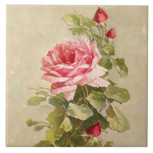 Azulejo De Cerâmica Rosas Rosa Vintage
