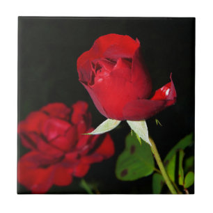 Azulejo De Cerâmica Rosas vermelhas