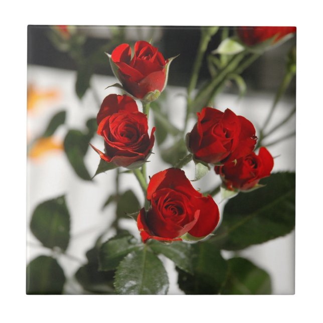 Azulejo De Cerâmica Rosas vermelhas (Frente)