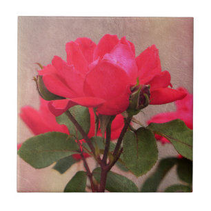 Azulejo De Cerâmica rosas vermelhas