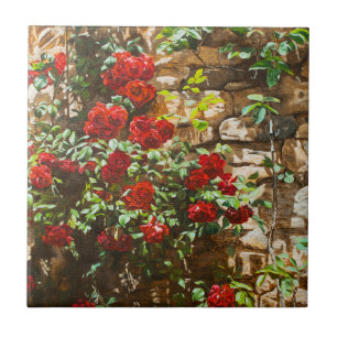 Azulejo De Cerâmica Rosas Vermelhas Contra uma Parede de Pedra