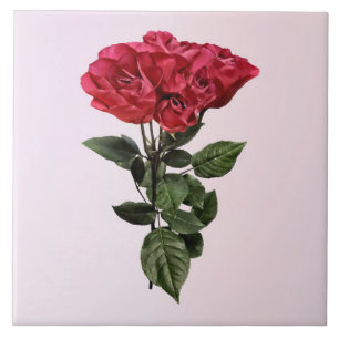 Azulejo De Cerâmica Rosas Vermelhas e Folhas