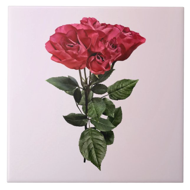 Azulejo De Cerâmica Rosas Vermelhas e Folhas (Frente)