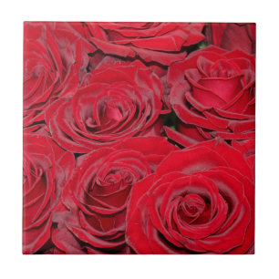 Azulejo De Cerâmica Rosas Vermelhas Vibrantes