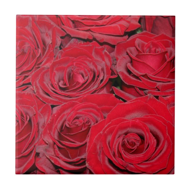 Azulejo De Cerâmica Rosas Vermelhas Vibrantes (Frente)
