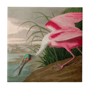 Azulejo De Cerâmica Roseate Spoonbill Birds, Impressão da América Au