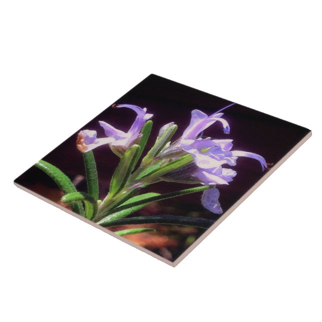 Azulejo De Cerâmica Rosemary Flowers (Lateral)