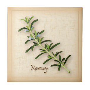 Azulejo De Cerâmica Rosemary Herb