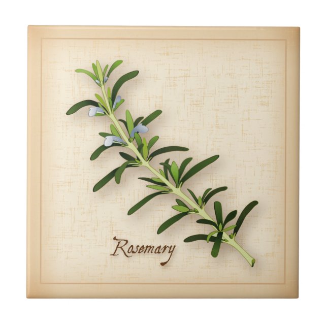 Azulejo De Cerâmica Rosemary Herb (Frente)