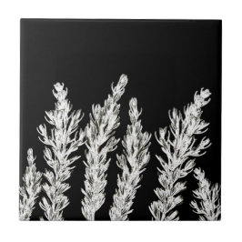 Azulejo De Cerâmica Rosemary Herb deixa branquelo preto