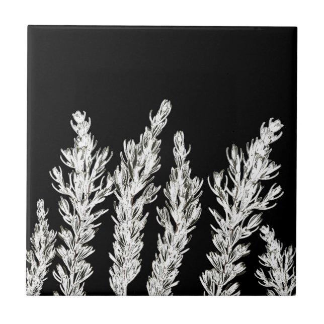 Azulejo De Cerâmica Rosemary Herb deixa branquelo preto (Frente)