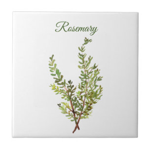 Azulejo De Cerâmica Rosemary Herb Greenery Kitchen - Chic Verde Culin