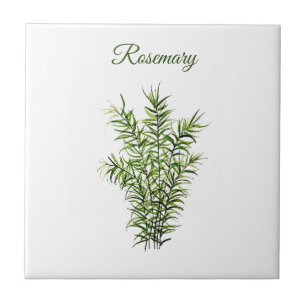 Azulejo De Cerâmica Rosemary Herb Greenery Kitchen - Chic Verde Culiná
