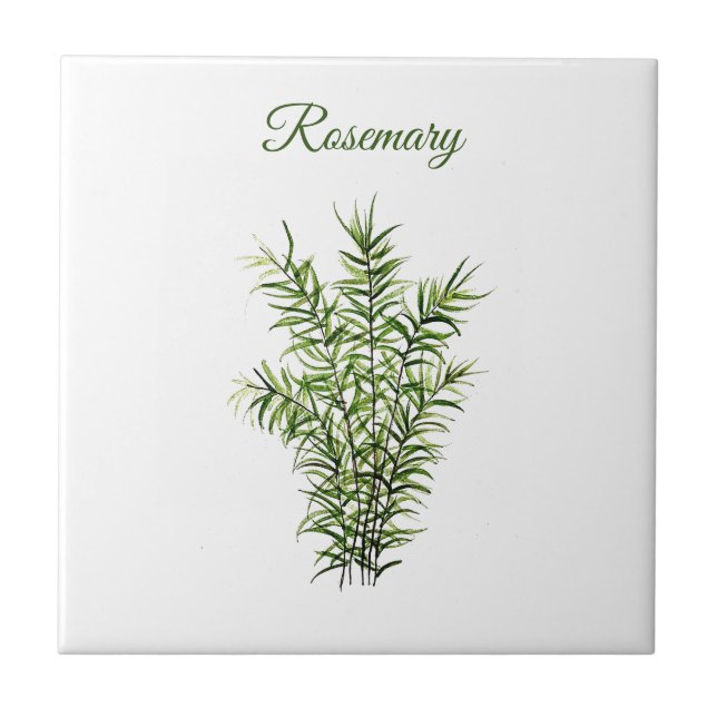Azulejo De Cerâmica Rosemary Herb Greenery Kitchen - Chic Verde Culiná (Frente)