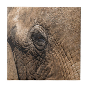 Azulejo De Cerâmica Rosto de um Elefante