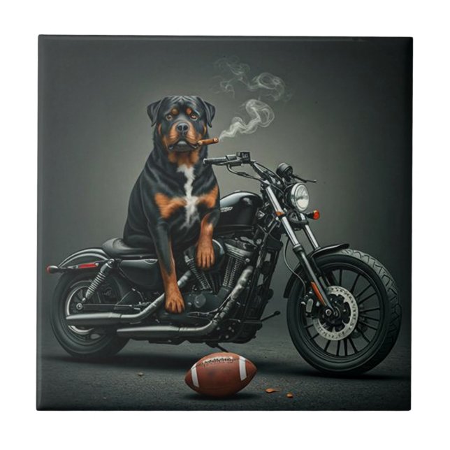 Azulejo De Cerâmica Rottie numa bicicleta (Frente)