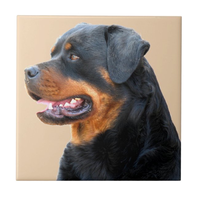 Azulejo De Cerâmica Rottweiler (Frente)