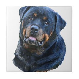 Azulejo De Cerâmica Rottweiler