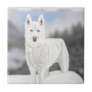 Azulejo De Cerâmica Rouco branco