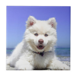 Azulejo De Cerâmica Rouco branco com olhos azuis