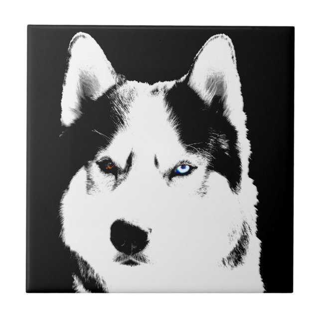 Azulejo De Cerâmica Rouco Dog Art Cerâmica Azulejo Malamute Wolf Dog G (Frente)