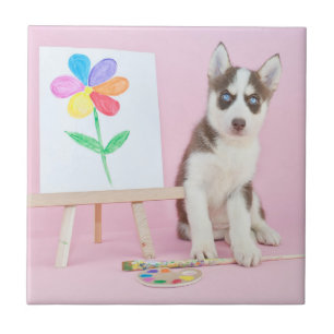 Azulejo De Cerâmica Rouco Puppy Pintando uma Flor Arco-Íris