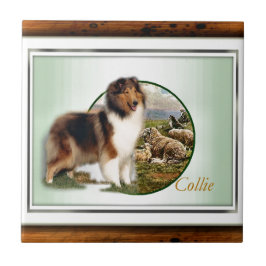 Azulejo De Cerâmica Rough Collie Keeper da ovelha