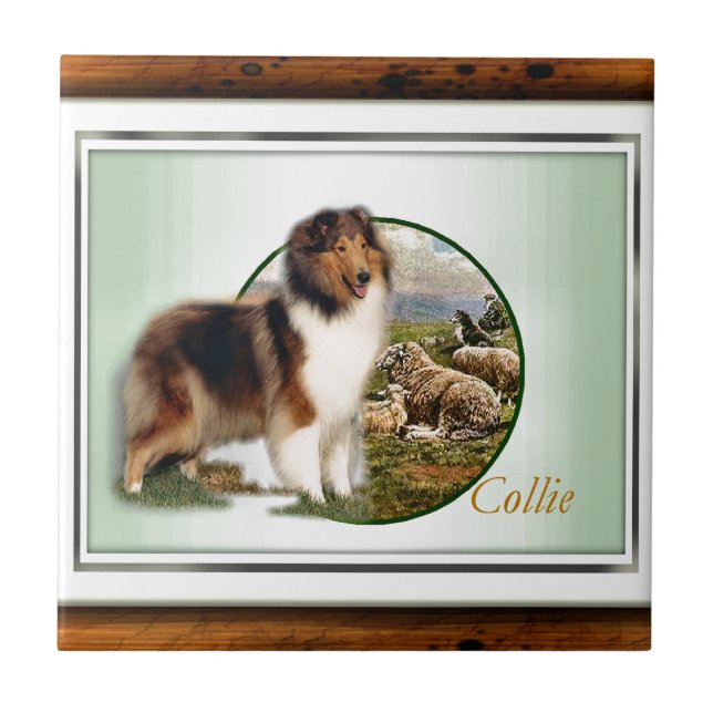 Azulejo De Cerâmica Rough Collie Keeper da ovelha (Frente)