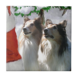 Azulejo De Cerâmica Rough Collies Reúne Papais noeis Natal