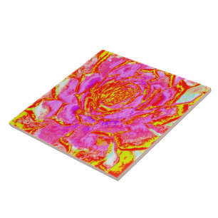 Azulejo De Cerâmica Roxo Quente, Vermelho e Amarelo Suculento Sedum Ro