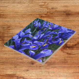 Azulejo De Cerâmica Roxo Reticulado Irrita Floral
