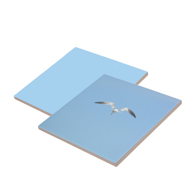 Azulejo De Cerâmica Royal Tern Seabird em voo Sky Blue (1 of 7 coordinating sky blue Seabird in flight ceramic tiles)