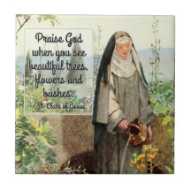 Ruas de Flores de Água de Assisi (M 065; Cotação)