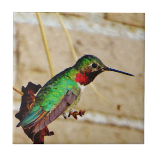 Azulejo De Cerâmica Ruby Green Hummingbird