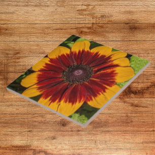 Azulejo De Cerâmica Rudbeckia Floral Amarelo e Bronze