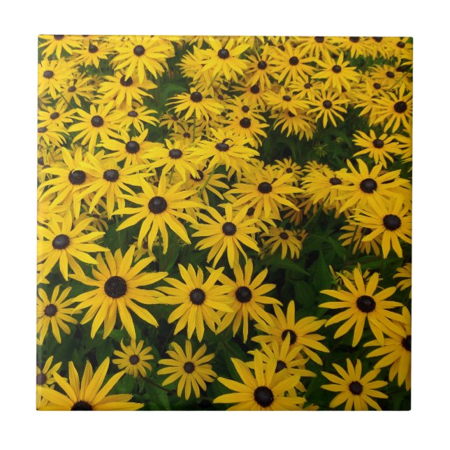 Azulejo De Cerâmica Rudbeckia Hirta (Susanos de Olhos Negros) (Frente)