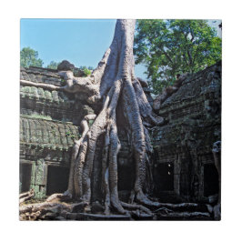 Azulejo De Cerâmica Ruína de Ta Prohm - Angkor Wat, Camboja, Ásia