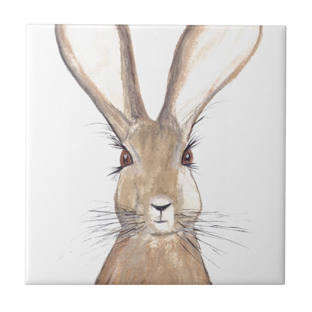 Azulejo De Cerâmica Ruptura aquosa Rúscula animal de coelho da cozinha (Frente)