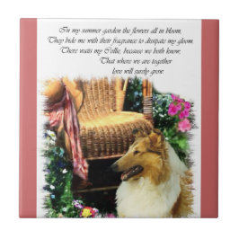 Azulejo De Cerâmica Sable Rough Collie Onde O Amor Cresce