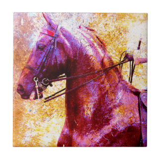 Azulejo De Cerâmica Saddleseat Grunge