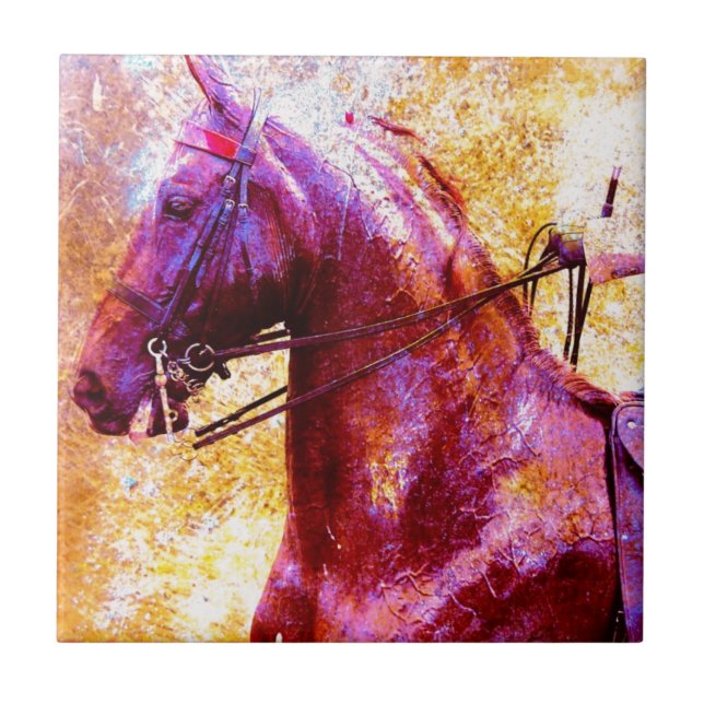 Azulejo De Cerâmica Saddleseat Grunge (Frente)