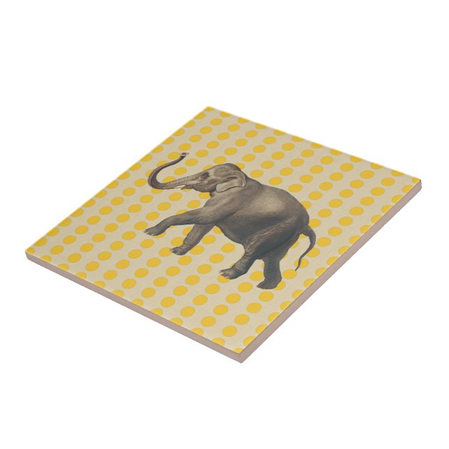 Azulejo De Cerâmica Saffron Spice Moods Dots com Elefante (Lateral)