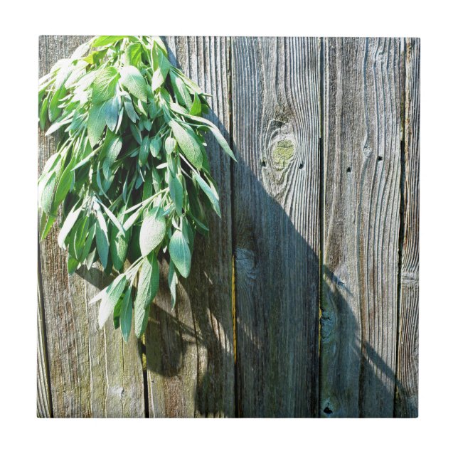 Azulejo De Cerâmica Sage Barn-wood, recortada recentemente (Frente)