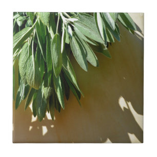 Azulejo De Cerâmica Sage de corte fresco
