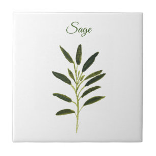 Azulejo De Cerâmica Sage Herb Greenere Kitchen Culinária Russa Verde