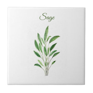 Azulejo De Cerâmica Sage Herb Greeneren Kitchen Rústica Verde Culiná