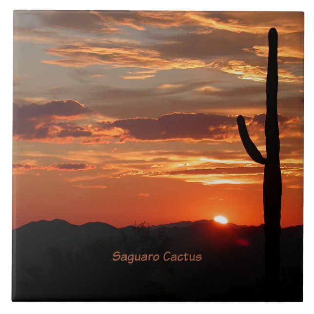 Azulejo De Cerâmica Saguaro Cactus, Sunset, (Frente)