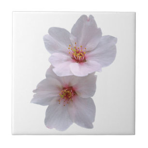 Azulejo De Cerâmica Sakura